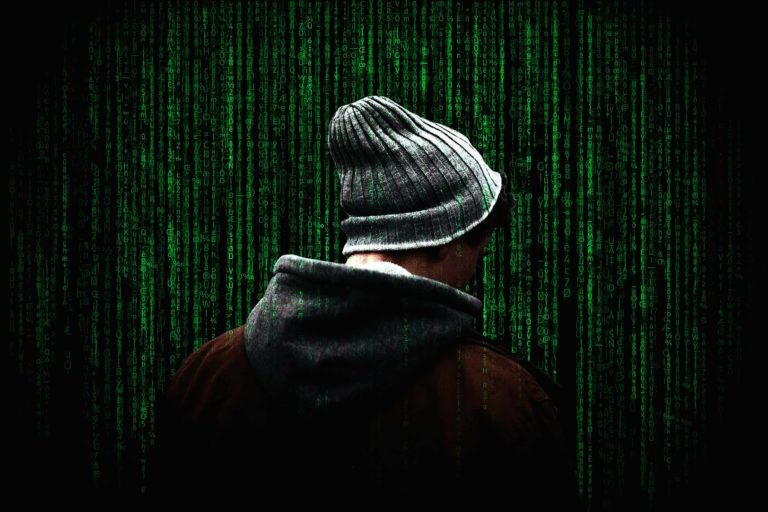 ciberseguridad en la era digital estrella flores carretero